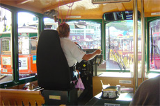 Portland (Maine) Trolley Tour cruise excursion